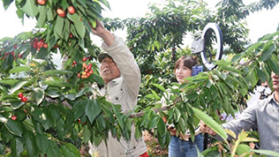 关爱老人活动如何避免形式化更注重真实体验 关爱老人活动如何避免形式化更注重真实体验